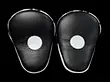 kick boxing target
